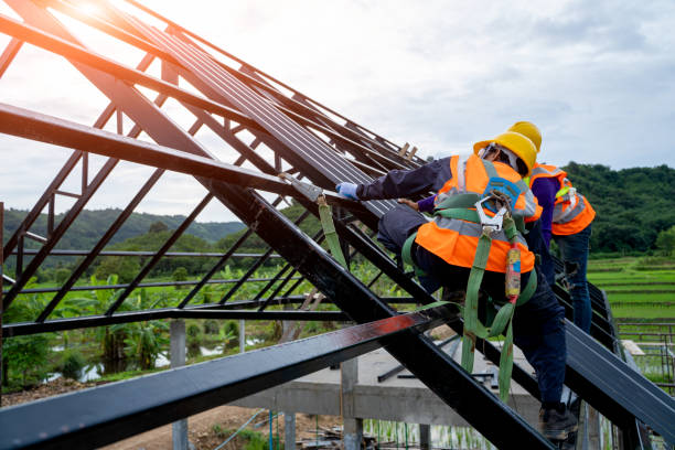 Best Roof Gutter Cleaning  in Cuero, TX